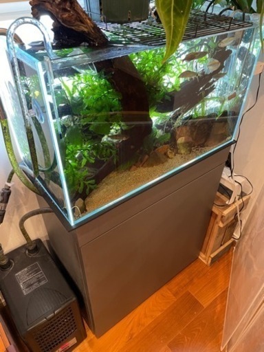 ADA水槽60cm、水槽台、外部式フィルター一式　引き取り限定