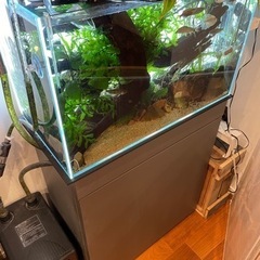 ADA水槽60cm、水槽台、外部式フィルター一式　引き取り限定