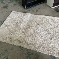 カーペット☆