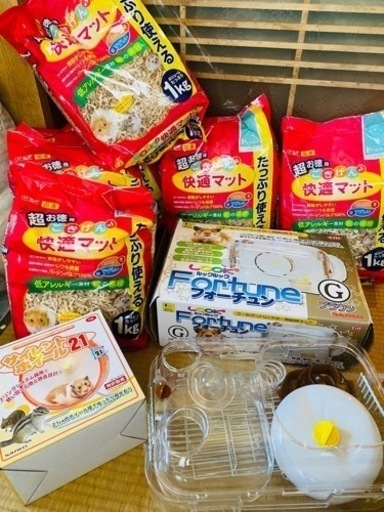 ハムスターの色々セット