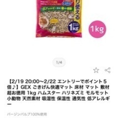 ハムスターの色々セット
