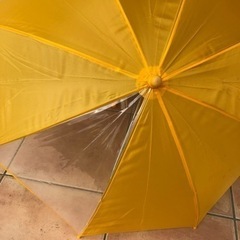 黄色の傘
