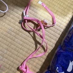 うさぎ用品