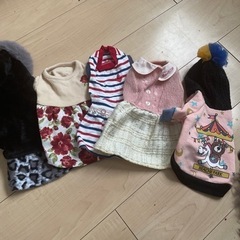 犬用　お洋服　XS 5着セット
