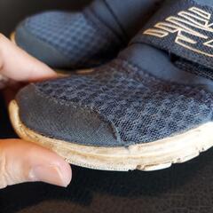 14cm new balance PREMUSの画像