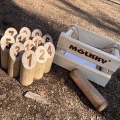モルックin駒沢公園or代々木公園