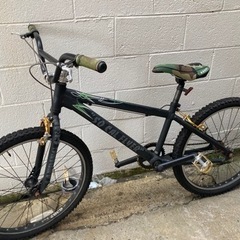 SE bikes  （socalflyer）の画像