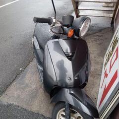 ホンダ テゥデイ 車体 実働車
