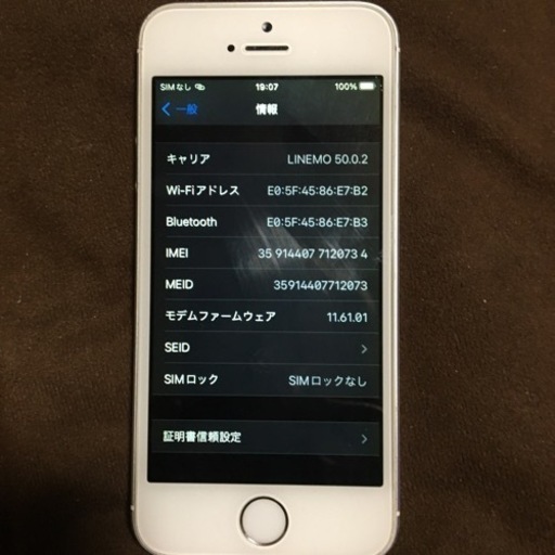iPhone SE 第1世代　SIMロック解除済み