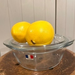 フランス　キャセロール　新品