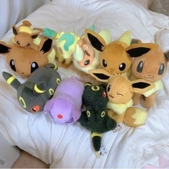 イーブイぬいぐるみ