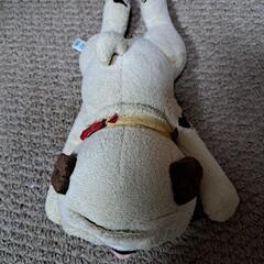 宇宙兄弟　アポの画像