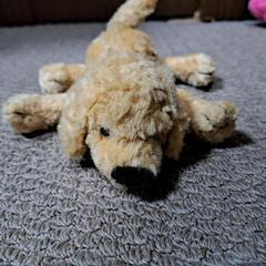 いぬのぬいぐるみ