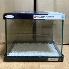 【美品】30cm水槽 (砂利付き) 【決まりました】