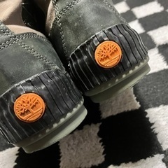 ティンバーランドの画像