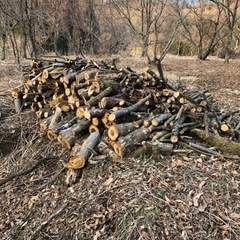 薪　広葉樹（栗など）　未乾燥