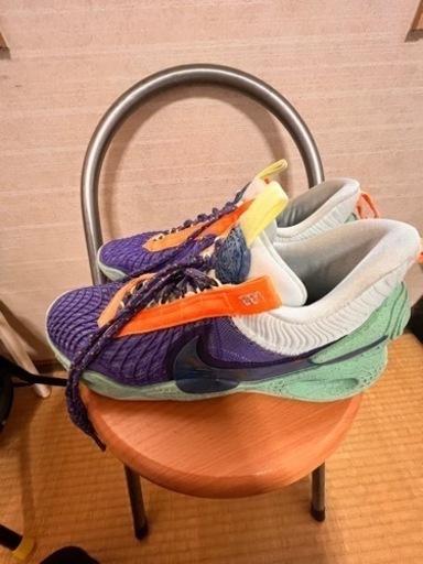 バッシュ