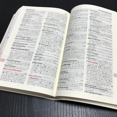 差し上げます 新アルファ 独和辞典 2色刷 三修社の画像