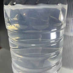 ゾウリムシ 500ml×3本 の画像