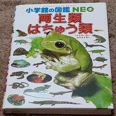 両生類🐸はちゅう類   ずかん