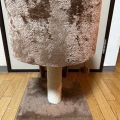 キャットタワー（茶色）の画像