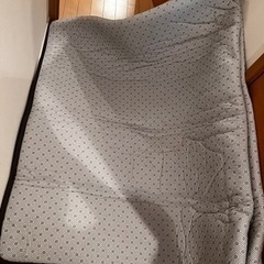 無料！裏面滑り止め付き ビッグラグマットの画像