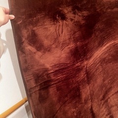 無料！裏面滑り止め付き ビッグラグマットの画像