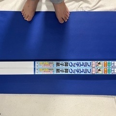 プラスチック障子紙　2個