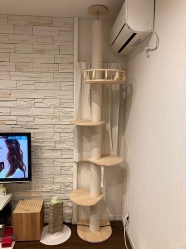 キャットタワー　ほぼ新品