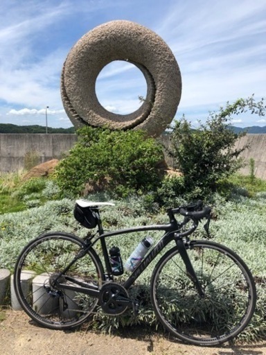 2014 SPECIALIZED ROUBAIX SL4 ELITE  美品