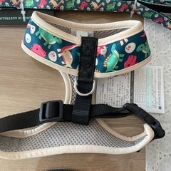 犬のハーネス　リードとセットの画像