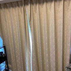 カーテン幅100cm×高さ200cm2枚組
