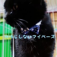 犬♡子供にも頭から擦り寄る♡甘え君