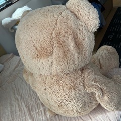 コストコのくまさんの画像