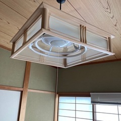照明　電気　和室　
