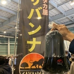 【DJめだか】ブルームーン無選別 幼魚5匹 サバンナ様より直接購入の画像