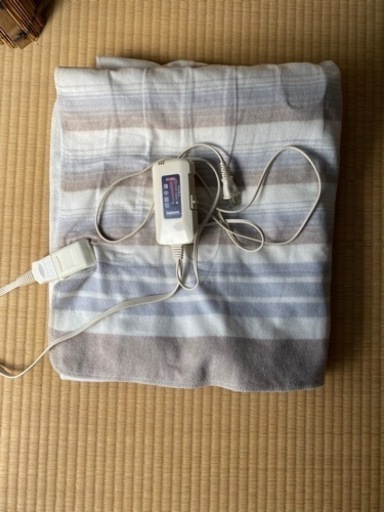 【1000円】ポートカーペット　電気カーペット