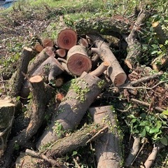 無料　マキ　薪　木　暖炉の画像