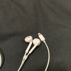 earpods 純正品 lighjing端子