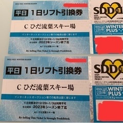 平日限定　流葉スキー場リフト券　２枚