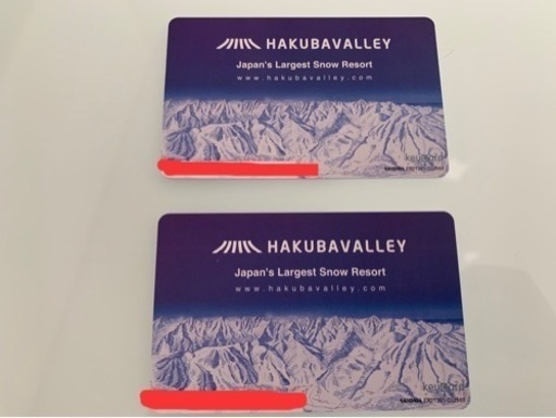 白馬五竜and hakuba47 リフト券２枚セット