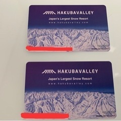 白馬五竜and hakuba47 リフト券２枚セット