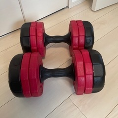 ダンベル二個セットの画像