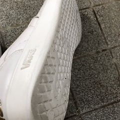 VANSスニーカーの画像