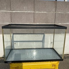 ☆水槽第3弾☆ 600水槽60水槽 ガラス 訳ありNo.88の画像