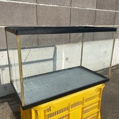 ☆水槽第3弾☆ 600水槽60水槽 ガラス 訳ありNo.88