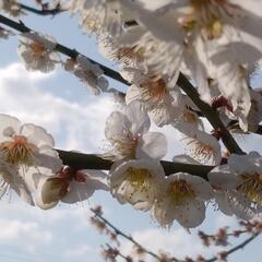 写真好きな人大募集！