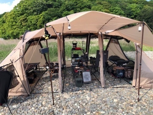 サバティカル　アルニカ　商談中