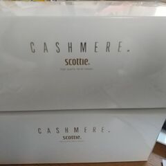スコッティ　カシミヤティッシュ　 5箱