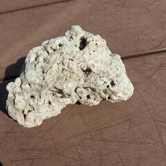 水槽用　珊瑚石　デコレーション
